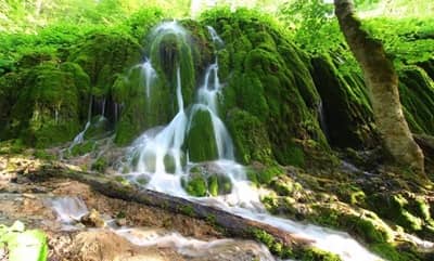 ساری-رامسر | جنگل و دریا | تله‌کابین